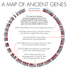 Map-of-ancient-genes_615rv.png