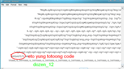 totoong code.GIF