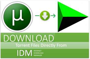How-To-Download-Torrent-File-Using-IDM-For-Free.png