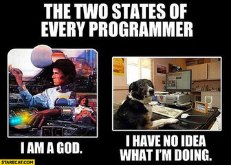 two-states-of-every-programmer-i-am-god-i-have-no-idea-what-im-doing.jpg