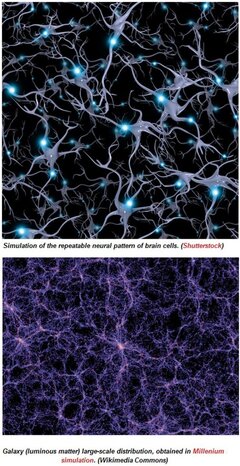 neuron and cosmic web.jpg