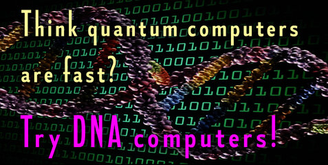 DNA computer01-final.jpg