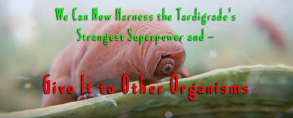 tardigrade superpower-final.jpg