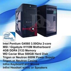 Intel-G4560-CPU-300x300.jpg