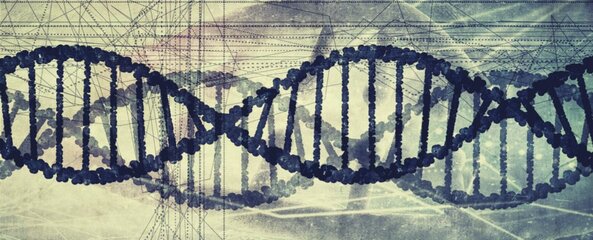 genetics-we-are-evolving-new-study-dna_1024.jpg