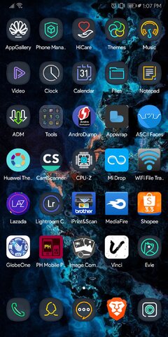 Screenshot_20190311_130751_com.huawei.android.launcher.jpg