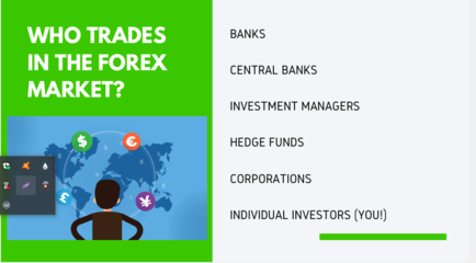 forex1.png