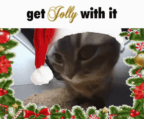 cat-jolly.gif