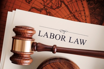Labor_Employment_Law_2013_IMEC.jpg