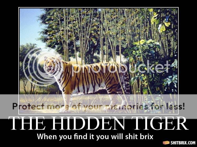 the-hidden-tiger-92178.jpg