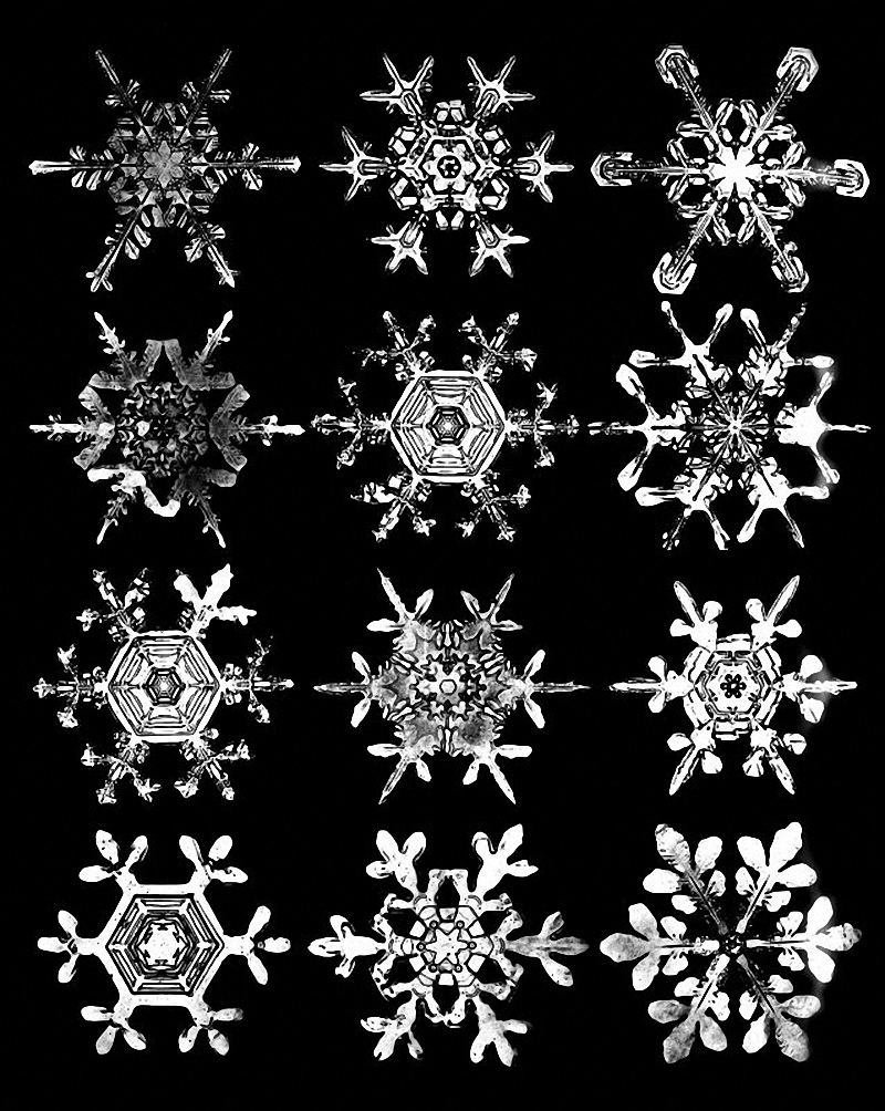 snow_crystals_-_w_a_bentley_2.jpg