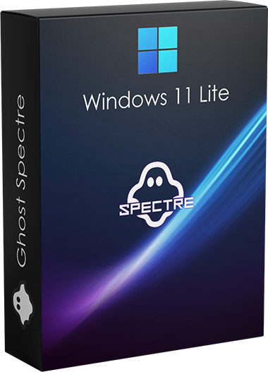 Windows 11 Pro Lite